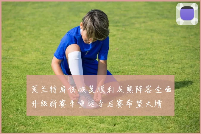 莫兰特肩伤恢复顺利灰熊阵容全面升级新赛季重返季后赛希望大增