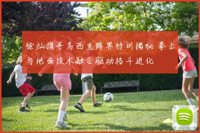 徐灿携手乌西克跨界特训揭秘 拳击与地面技术融合驱动格斗进化